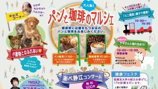 ジャカランダフェスティバル